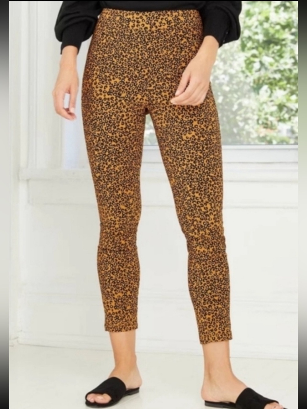 Who What Wear Leopard Print High Rise Cropped Ankle Pants Size 2 Gold Black